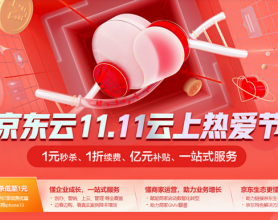 2021：京东云11.11云上热爱节