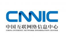 首批中国消费名品使用国家顶级域名